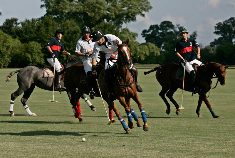 Oak Brook Polo Club Welcomes Jamaica For “International Polo Series”