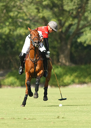 audi polo team coca polo team int polo club polo magazine alex pacheco photos 6