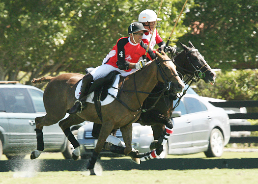 Alegria vs. Coca-Cola