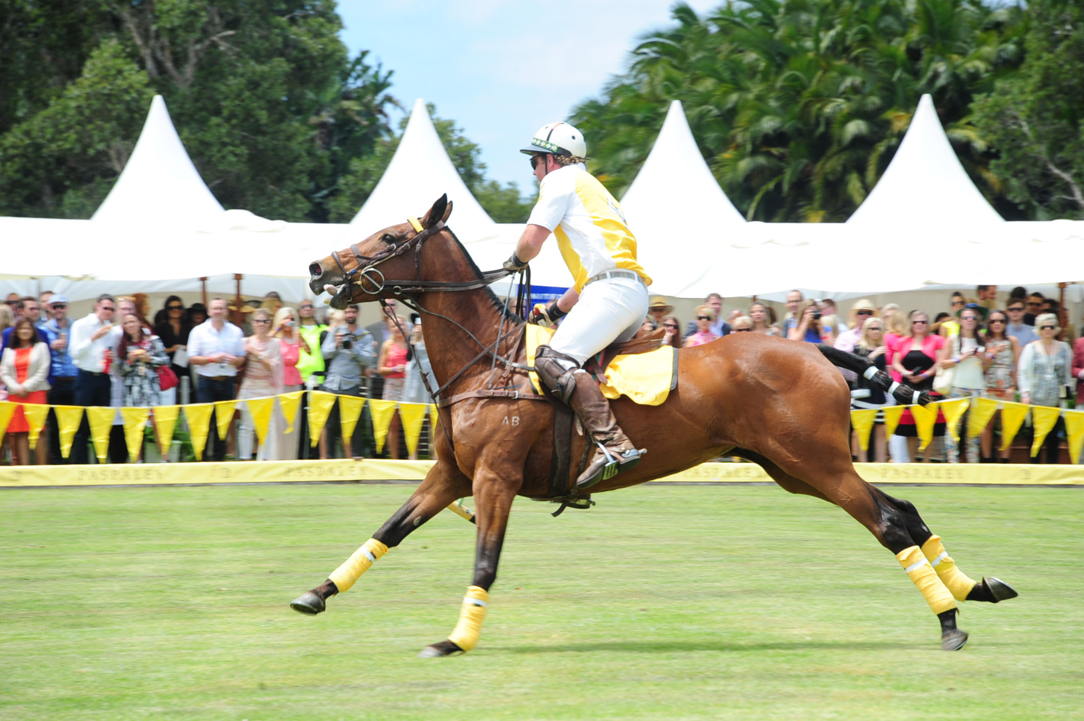 Paspaley Polo in the City 2012 POLO Magazine 10
