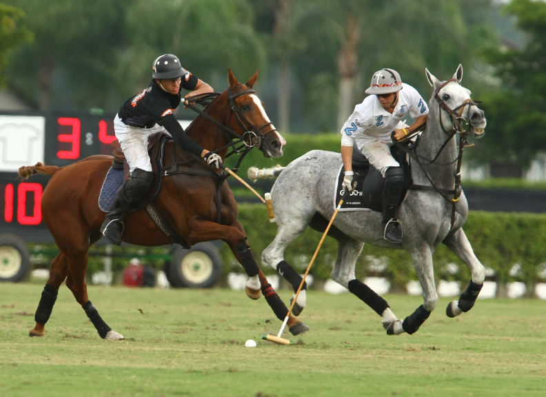 alexpachecopolomagazinethepolousapolocuppoloplayerpoloteamphotos 3