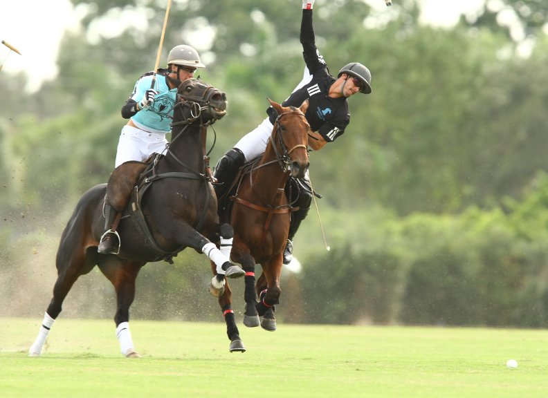 polomagazinepachecopolophotosfallplatepolousapolotournament 3