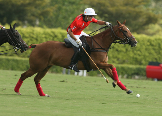 butlerhandicap polo tournament magazine the 6