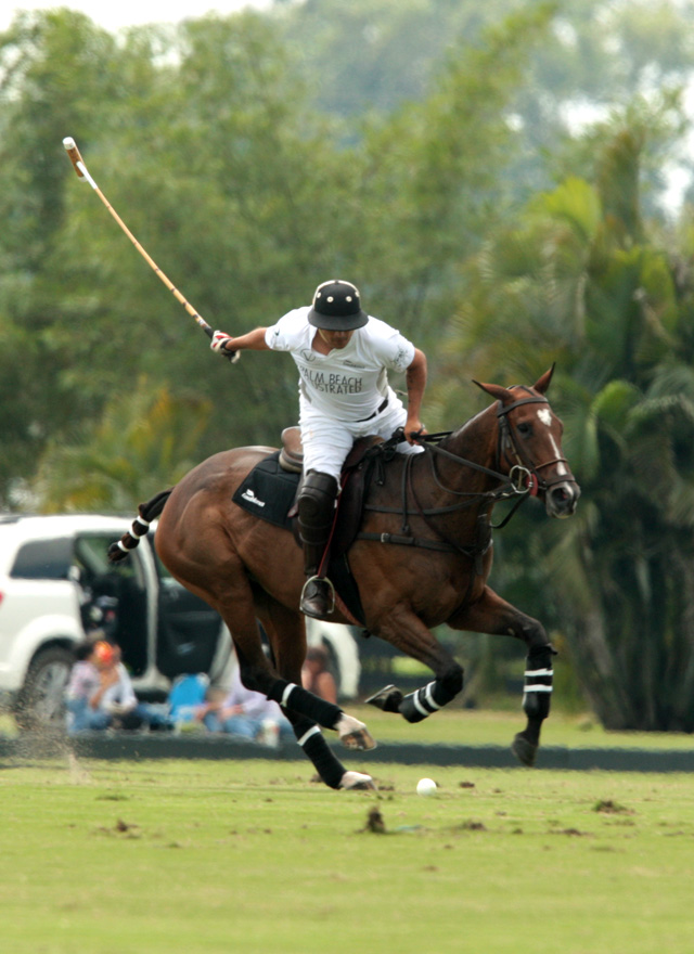 photos-palm-beach-illustrated-14-ct-energia-6 6 polomagazine.jpg