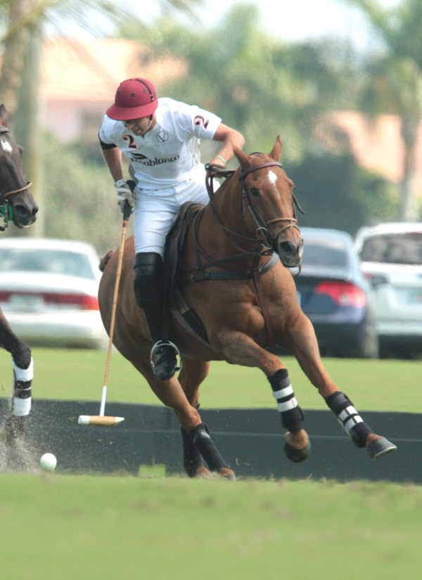 photospolomagazinevilladellagoflightoptions 6